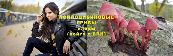 твердый Бронницы