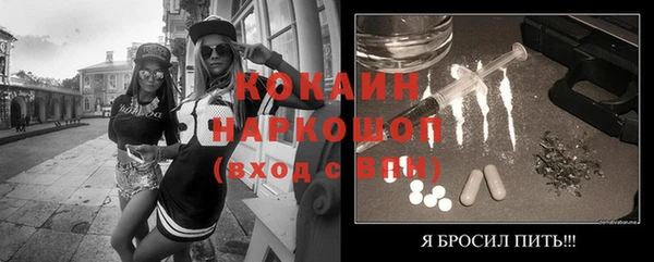 стаф Алзамай