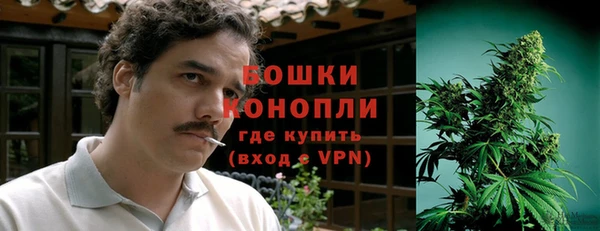 мяу мяу мука Аркадак