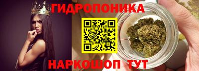 индика Конаково