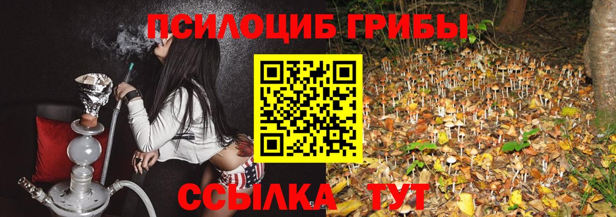 Клин  Галлюциногенные грибы MAGIC MUSHROOMS  Вход с VPN 